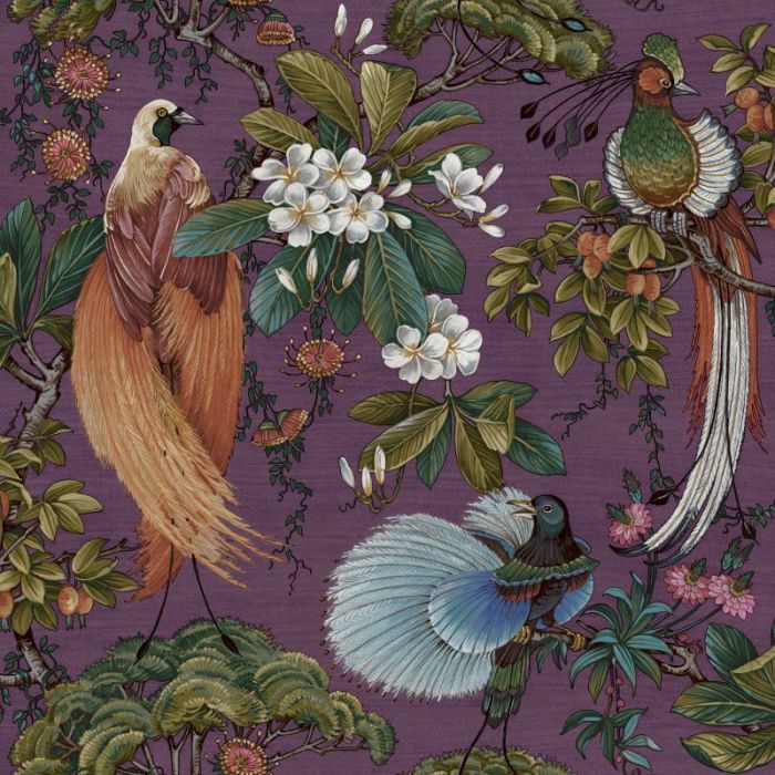 Yasuni Oriental Tropical Bird Wallpaper Plum