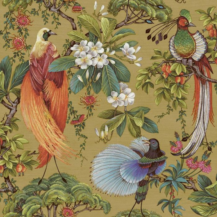 Yasuni Oriental Tropical Bird Wallpaper Ochre