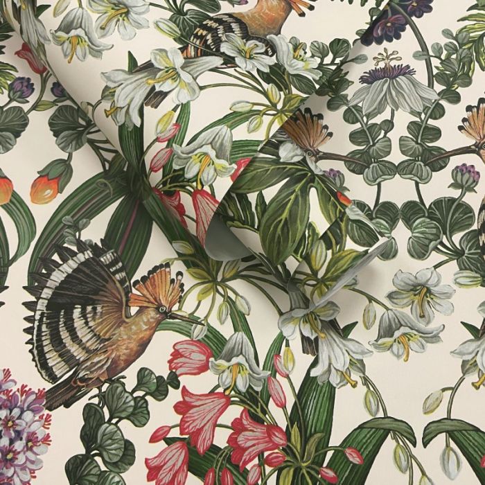 Marimo Botanical Wallpaper 