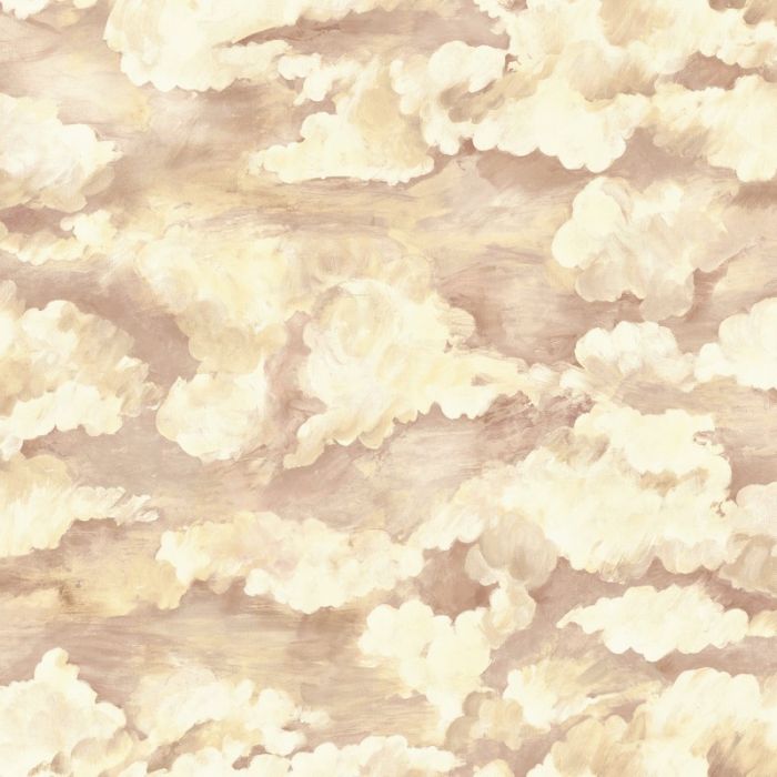 Sora Cloud Wallpaper - Coral