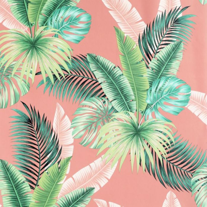 Miami Tropics Botanical Leaf Wallpaper 