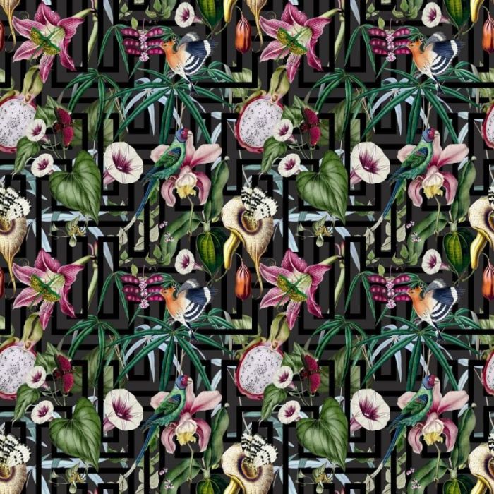 Paul Moneypenny Tropical Infinity Floral Black Wallpaper 