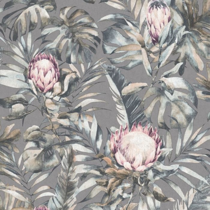 Protea Botanical Flower Wallpaper 