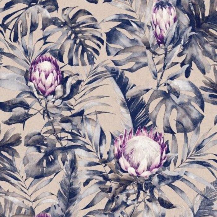 Protea Botanical Flower Wallpaper 