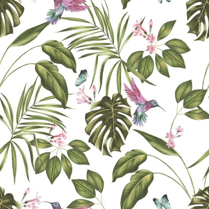 Ohpopsi Hummingbird Wallpaper