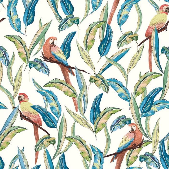 Ohpopsi Tropical Parrot Wallpaper