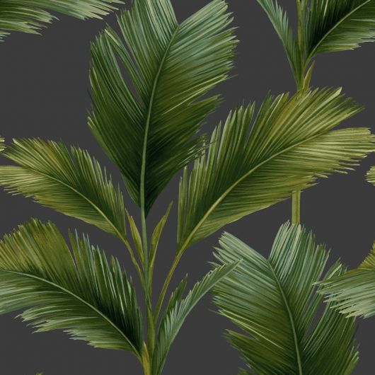 Kailani Palm Leaf Wallpaper | Belgravia