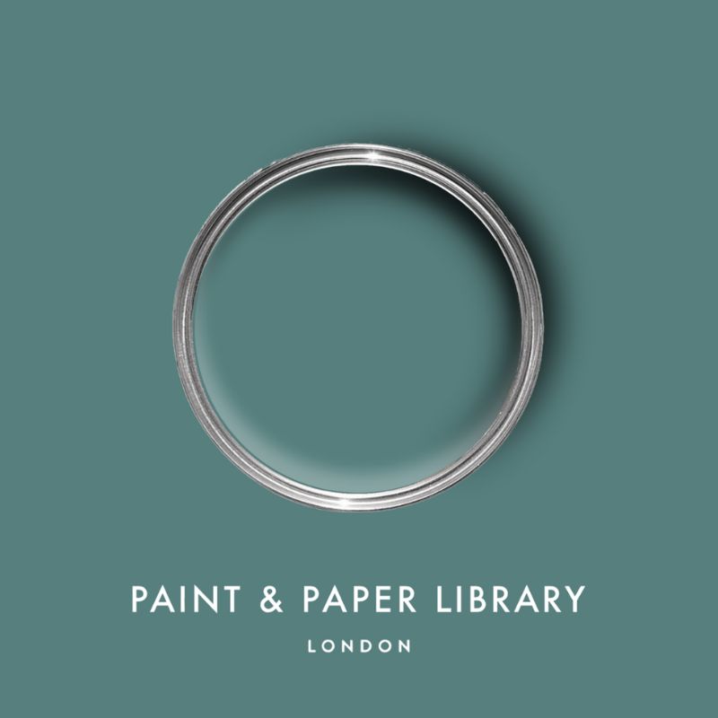 Paint & Paper Library - Iguana